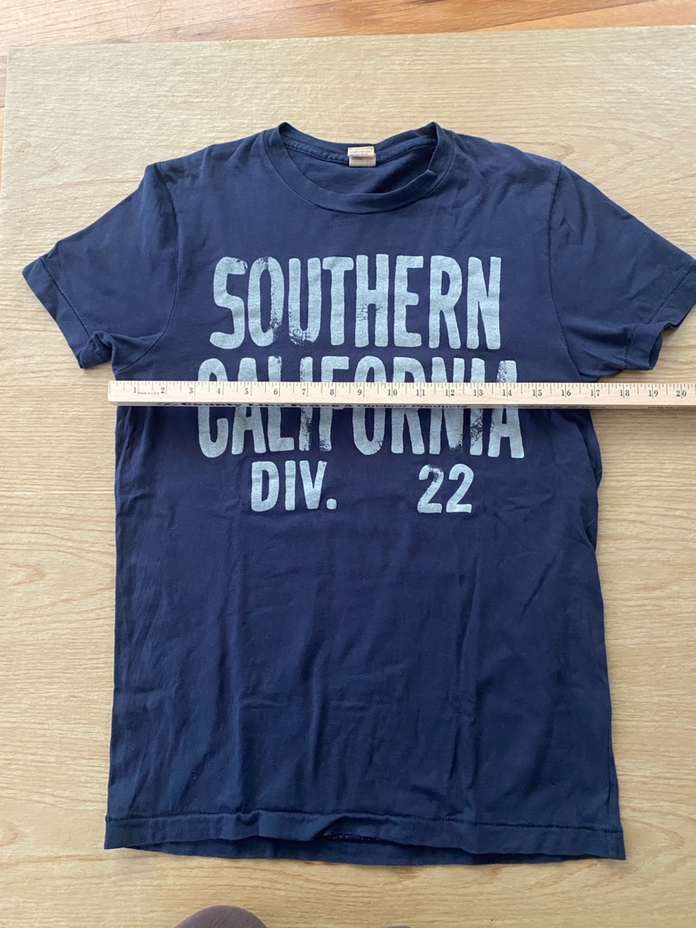 Vintage Hollister Navy Crewneck Tee with Logo Tag